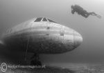 Diver & plane b&w 2