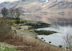 Picnic site - Loch Linnhe