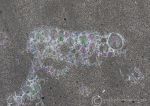 Bubbles - Alnmouth Beach 