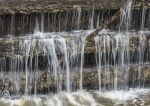 Lock gates - freshwater sponge