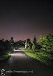 Floodlit path @ Kew