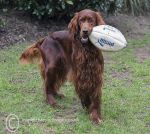 Finbar & rugby ball