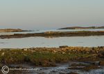 Omey strand - dawn