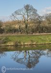 Weaver reflections 2