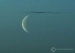 Moon at Sunrise 2