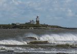 Coquet Island