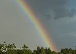 Summer storm rainbow