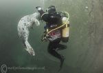 Maureen & seal pup 4