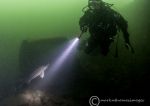 Delph - diver & sturgeon