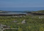 Aughrus Bay summer 2018