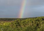 Claddaghduff rainbow