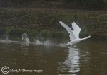 take off