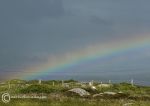 Rainbow over Aughrus Bay