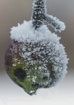 Frozen apple 2