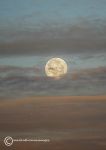 Full moon - early morning