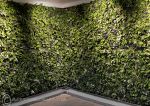 Living wall 2