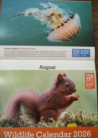 SWT 2006 calendar