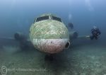 Divers on Plane