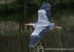 In Flight