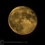 October moon - yellow