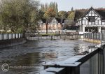 Floods - November 2019, River Dane
