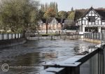 Floods - November 2019, River Dane