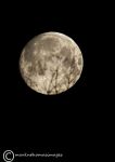 Super/Snow Moon