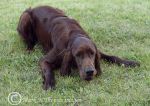 Finbar - having a breather