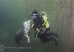 Maureen & seal pup 1