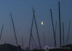 Boat masts - River Aln @ dawn