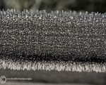 Frozen fence