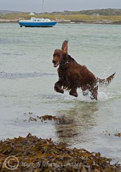 Finbar at Aughrus Pier