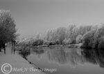 Winter reflections