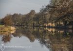 Weaver reflections 3