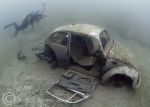 diver & beetle 3