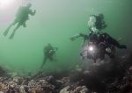 Farnes reef - divers