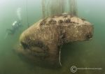 Diver & cockpit