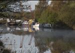 Boats at the Marina