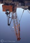 Crane reflection