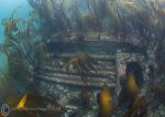 Farnes wreck