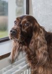 Roonagh 0417