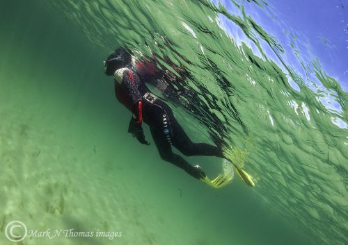 Snorkeling in Connemara