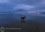 Night on Castlerock Strand 1